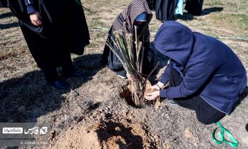 گمبوعه؛ یادمانی از دل تاریخ