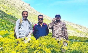 کوهپیمایی کارکنان سپاه در منطقه کوه‌گل