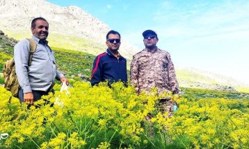 کوهپیمایی کارکنان سپاه در منطقه کوه‌گل