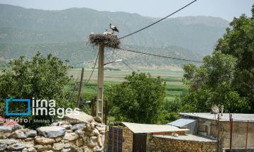«خداوند لک‌لک‌ها را دوست دارد»