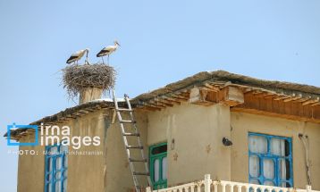 «خداوند لک‌لک‌ها را دوست دارد»
