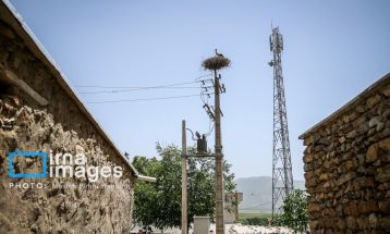 «خداوند لک‌لک‌ها را دوست دارد»
