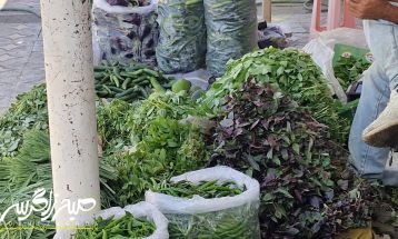 زندگی عادی شهروندان باشتی زیر سایه جنگ