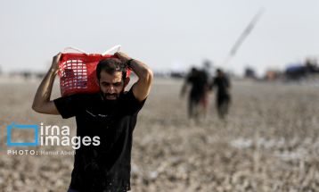 پیاده روی اربعین-«من البحر الی النهر»